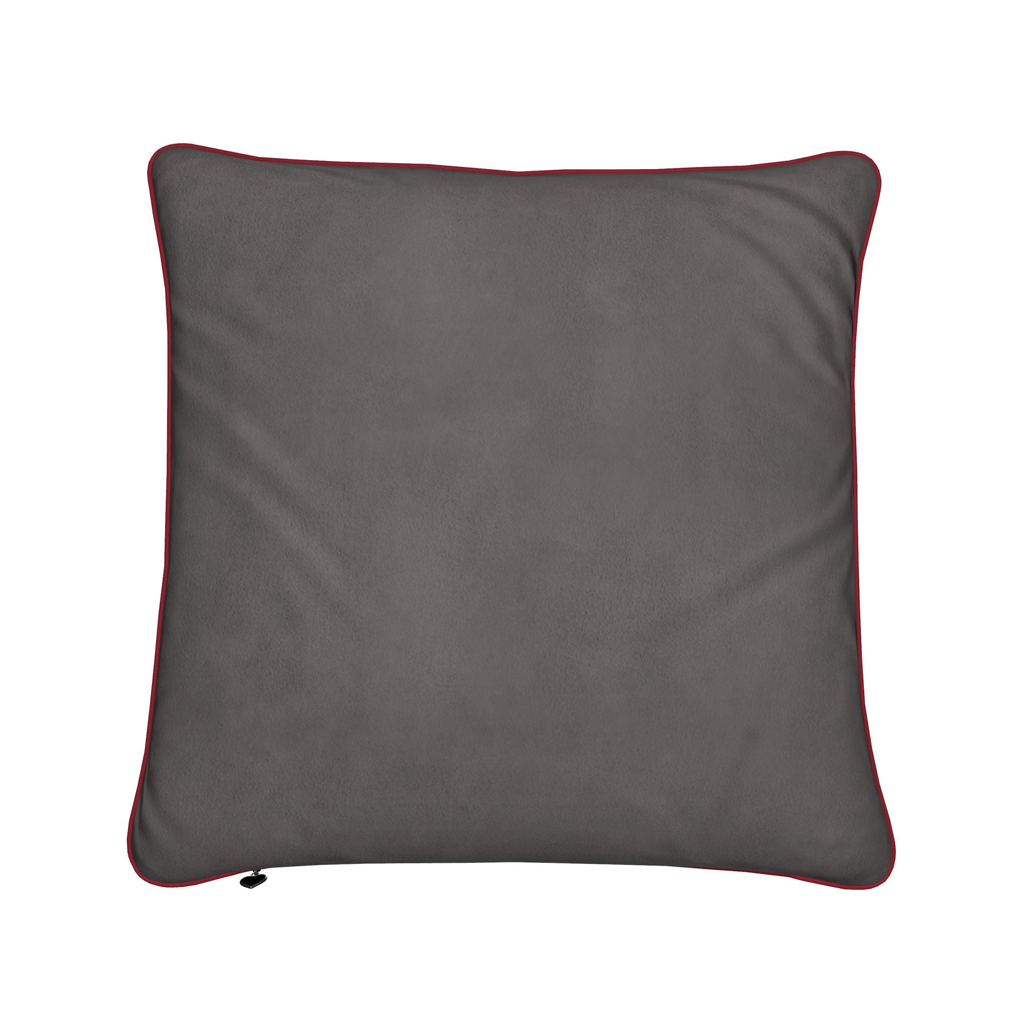 A square dark gray throw pillow with a contrasting red piped border, shown against a plain white background.